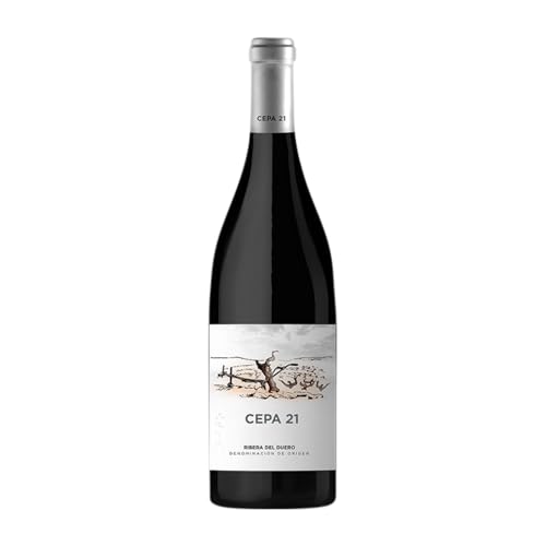 Cepa 21 Tempranillo Ribera del Duero Magnum-Flasche 1,5 L Rotwein von Bodegas Cepa 21