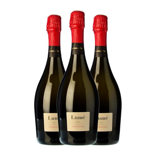 Contreras Ruiz Lumé Zalema Brut Cava 75 cl Weißer Sekt (Karton mit 3 Flaschen von 75 cl) von Bodegas Contreras Ruiz