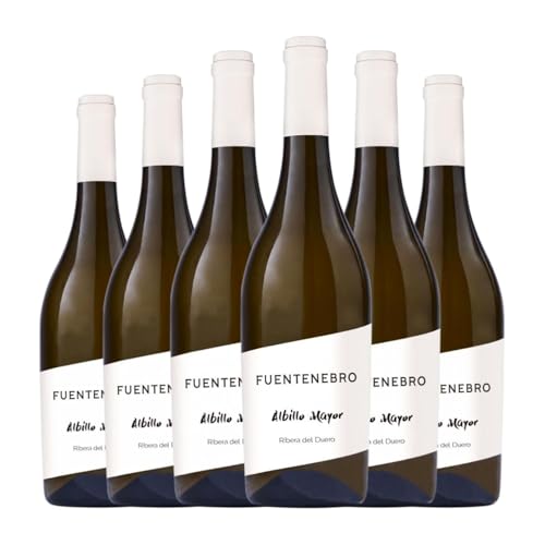 Viña Fuentenarro Blanco Albillo Ribera del Duero 75 cl Weißwein (Karton mit 6 Flaschen von 75 cl) von Bodegas Fuentenarro