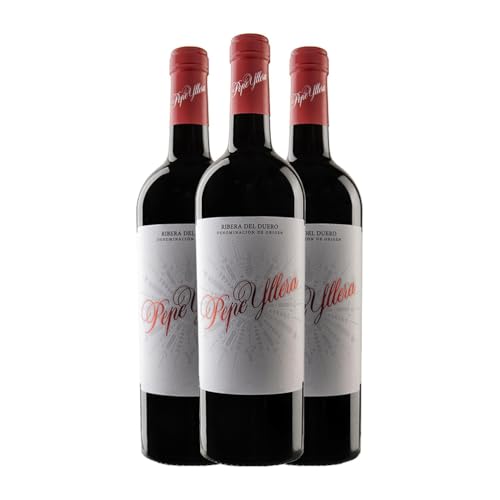 Yllera Pepe Ribera del Duero Eiche Magnum-Flasche 1,5 L Rotwein (Karton mit 3 Magnum-Flasche von 1,5 L) von Bodegas Grupo Yllera