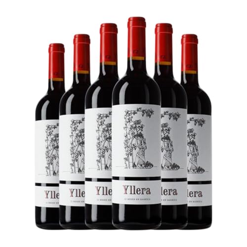 Yllera Tempranillo Vino de la Tierra de Castilla y León Alterung 75 cl Rotwein (Karton mit 6 Flaschen von 75 cl) von Bodegas Grupo Yllera