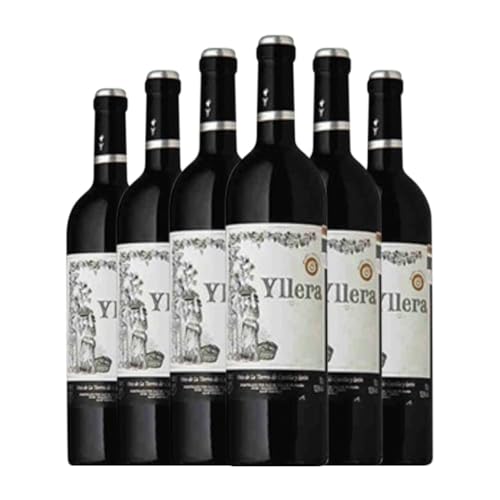 Yllera Tempranillo Vino de la Tierra de Castilla y León Alterung Kleine Flasche 18 cl Rotwein (Karton mit 6 Kleine Flasche von 18 cl) von Bodegas Grupo Yllera