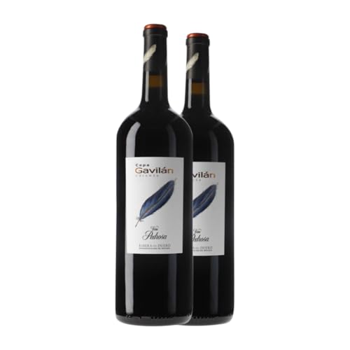 Pérez Pascuas Viña Pedrosa Cepa Gavilán Tempranillo Ribera del Duero Alterung Magnum-Flasche 1,5 L Rotwein (Karton mit 2 Magnum-Flasche von 1,5 L) von Bodegas Hnos. Pérez Pascuas