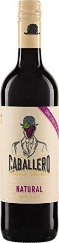 Bodegas Irjimpa CABALLERO PARRA JIMÉNEZ Tinto Natural La Mancha DO 2019 ohne SO2-Zusatz (1 x 0.75 l) von Bodegas Irjimpa