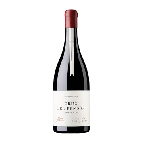 Luis Cañas Cruz del Pendón Tempranillo Ribera del Duero 75 cl Rotwein von Bodegas Luis Cañas