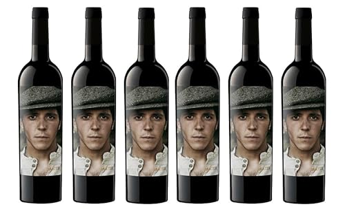 6x 0,75l - 2022er - Bodegas Matsu - El Picaro - Toro D.O.P. - Spanien - Rotwein trocken von Bodegas Matsu