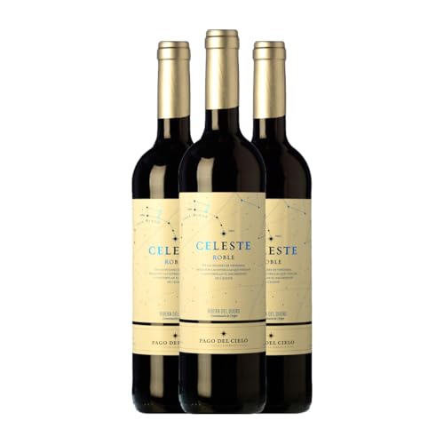 Torres Celeste Tempranillo Ribera del Duero Eiche Magnum-Flasche 1,5 L Rotwein (Karton mit 3 Magnum-Flasche von 1,5 L) von Bodegas Miguel Torres