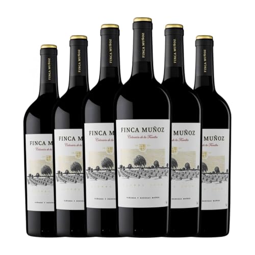 Muñoz Martín Colección de la Familia Tempranillo La Mancha 75 cl Rotwein (Karton mit 6 Flaschen von 75 cl) von Bodegas Muñoz Martín