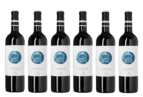 6x 0,75l - 2022er - Bodegas Ochoa - Calendas - Tinto - Navarra D.O.P. - Spanien - Rotwein trocken von Ochoa