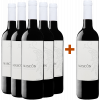 Osca 2019 Aktionspaket 5+1 Bodegas Osca Garnacha Crianza Somontano DO von Bodegas Osca