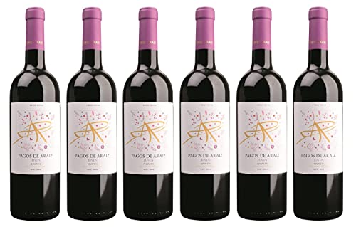 6x 0,75l - 2021er - Bodegas Pagos de Araíz - Joven - Navarra D.O.P. - Spanien - Rotwein trocken von Bodegas Pagos de Araíz