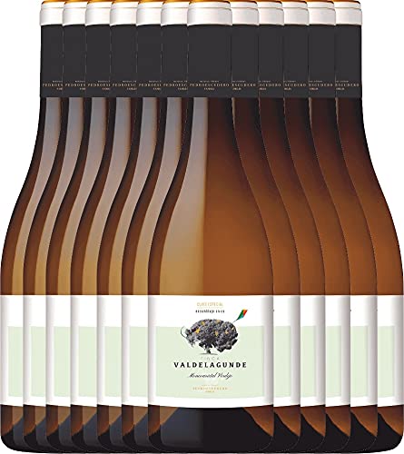 Valdelagunde Cuvée Especial Verdejo von Pedro Escudero - Weißwein 12 x 0,75l 2021 VINELLO - 12er - Weinpaket inkl. kostenlosem VINELLO.weinausgießer von Bodegas Pedro Escudero