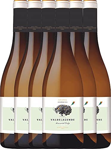 Valdelagunde Cuvée Especial Verdejo von Pedro Escudero - Weißwein 6 x 0,75l 2021 VINELLO - 6er - Weinpaket inkl. kostenlosem VINELLO.weinausgießer von Bodegas Pedro Escudero