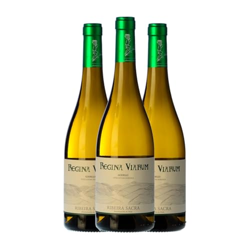 Regina Viarum Godello Ribeira Sacra Alterung 75 cl Weißwein (Karton mit 3 Flaschen von 75 cl) von Bodegas Regina Viarum