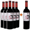 Salzillo 2022 5+1 Aktionspaket Matius Crianza Jumilla DO von Bodegas Salzillo