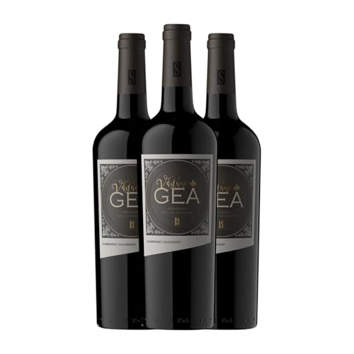 Staphyle Vástago de Gea Cabernet Sauvignon Mendoza 75 cl Rotwein (Karton mit 3 Flaschen von 75 cl) von Bodegas Staphyle