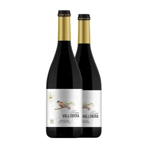 Vallobera Tempranillo Rioja Alterung Magnum-Flasche 1,5 L Rotwein (Karton mit 2 Magnum-Flasche von 1,5 L) von Bodegas Vallobera