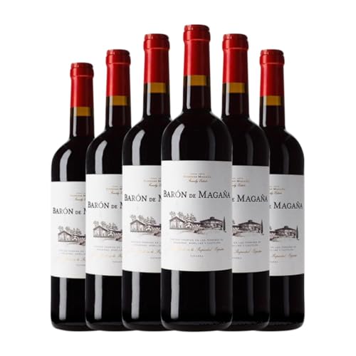 Viña Magaña Barón Navarra 75 cl Rotwein (Karton mit 6 Flaschen von 75 cl) von Bodegas Viña Magaña