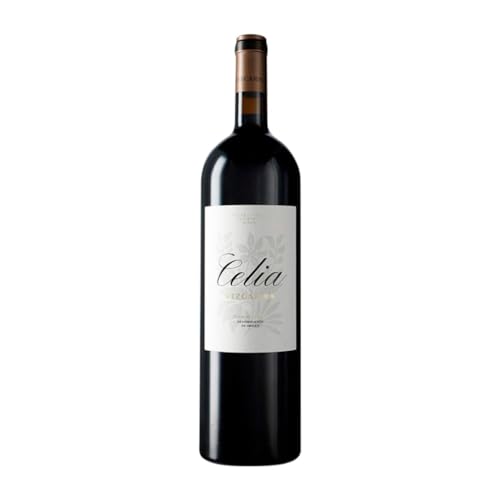 Vizcarra Celia Ribera del Duero Magnum-Flasche 1,5 L Rotwein von Bodegas Vizcarra