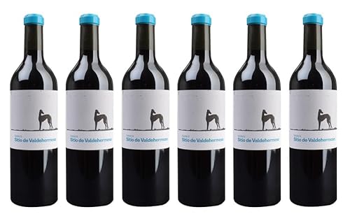 6x 0,75l - 2022er - Bodegas y Viñedos Valderiz - Valdehermoso - Sitio de Valdehermoso - Ribera del Duero D.O.P. - Spanien - Rotwein trocken von Bodegas y Viñedos Valderiz