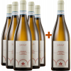 Bogge Wine 2023 5+1 Paket Sanvà Piemonte DOC von Bogge Wine