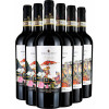 Borgo Macereto  Borgo Macereto Chianti DOCG Kennenlern-Paket von Borgo Macereto