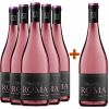 Borgo del Baccano 2021 5+1 Paket Rosato Roma DOC von Borgo del Baccano