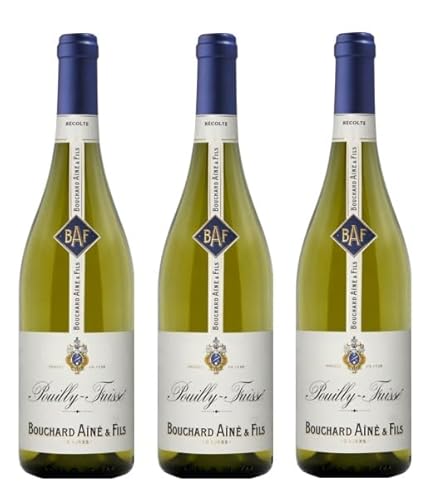 3x 0,75l - 2022er - Bouchard Aîné & Fils - Pouilly-Fuissé A.O.P. - Burgund - Frankreich - Weißwein trocken von Bouchard Aîné & Fils