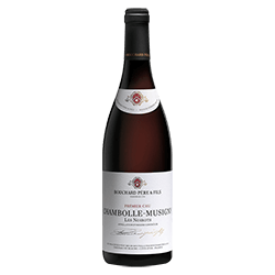 Bouchard Père & Fils : Chambolle-Musigny 1er cru "Les Noirots" 2021 von Bouchard Père & Fils