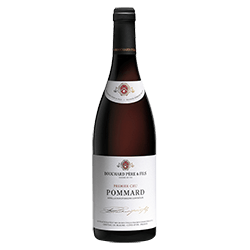 Bouchard Père & Fils : Pommard 1er cru Domaine 2019 von Bouchard Père & Fils