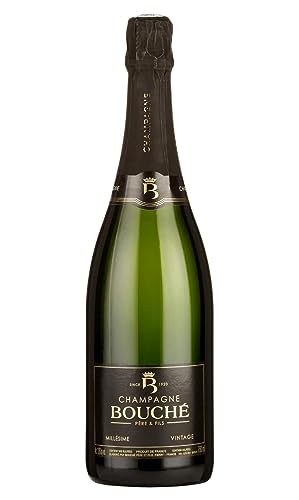 Bouché Père&Fils Champagne Millésime Jahrgangs-Champagner 2009 (1 x 0.75 l) von Bouché Père&Fils