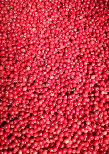 Rosa Beeren 200g, Vegan Premium Qualität, Rosa Beeren Pfeffer (Schinusbeeren) ganz von Braun Gewürze