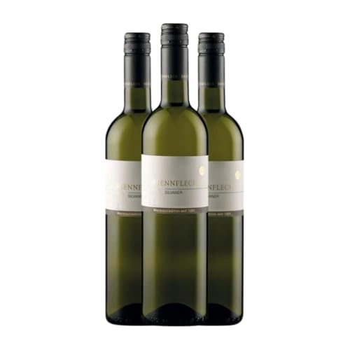 Brennfleck Sylvaner Trocken 75 cl Weißwein (Karton mit 3 Flaschen von 75 cl) von Brennfleck