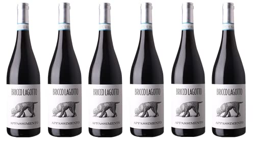 6x 0,75l - 2023er - Bricco Lagotto - Barbera - Appassimento - Piemonte D.O.P. - Italien - Rotwein trocken von Bricco Lagotto