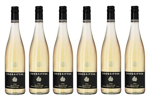 6x 0,75l - 2022er - Brogsitter - Terra Blanc - Blanc de Noir vom Spätburgunder - Qualitätswein Rheinhessen - Deutschland - Weißwein trocken von Brogsitter