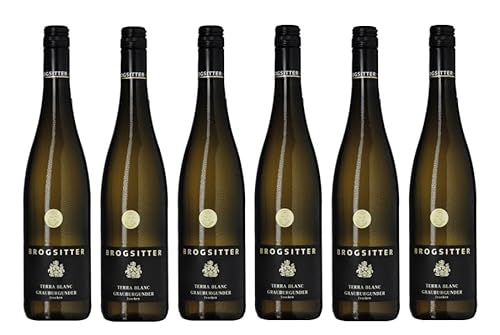 6x 0,75l - 2023er - Brogsitter - Terra Blanc - Grauburgunder - Qualitätswein Rheinhessen - Deutschland - Weißwein trocken von Brogsitter