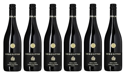 6x 0,75l - 2023er - Brogsitter - Terra Noir - Spätburgunder - Qualitätswein Rheinhessen - Deutschland - Rotwein trocken von Brogsitter