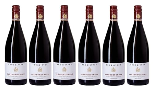 6x 1,0l - 2023er - Brogsitter - Spätburgunder - halbtrocken LITER - Qualitätswein Rheinhessen - Deutschland - Rotwein halbtrocken von Brogsitter