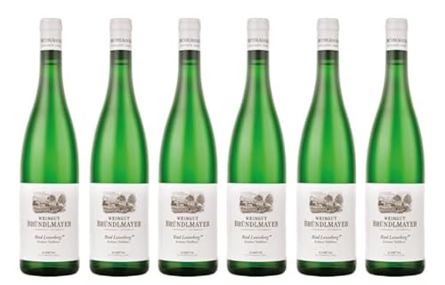 6x 0,75l - 2022er - Bründlmayer - Ried Loiserberg 1ÖTW - Grüner Veltliner - Kamptal - Österreich - Weißwein trocken von Bründlmayer