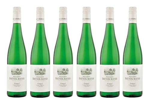 6x 0,75l - 2023er - Bründlmayer - Kamptal Terrassen - Grüner Veltliner - Kamptal - Österreich - Weißwein trocken von Bründlmayer