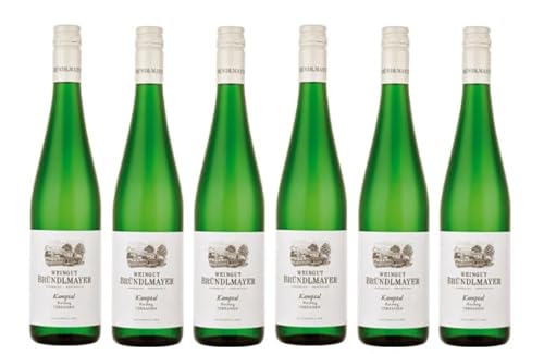 6x 0,75l - 2023er - Bründlmayer - Kamptal Terrassen - Riesling - Kamptal - Österreich - Weißwein trocken von Bründlmayer