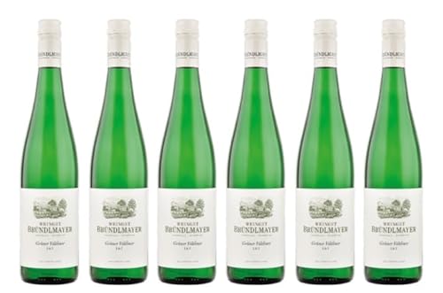 6x 0,75l - 2024er - Bründlmayer - L+T - Grüner Veltliner - Kamptal - Österreich - Weißwein trocken von Bründlmayer