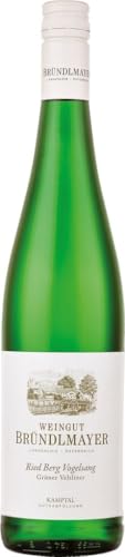 Bründlmayer Grüner Veltliner Berg Vogelsang 2023 (1 x 0.75 l) von Bründlmayer