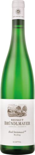 Bruendlmayer Riesling Langlois Steinmassl 2022 0.75 L Flasche von Bründlmayer