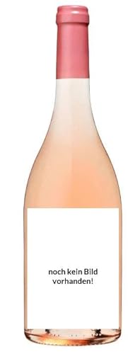 Bruendlmayer Zweigelt Rose 2023 0.75 L Flasche von Bründlmayer