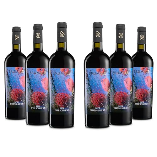 Brumale Rotwein Terre Siciliane IGT, voller und abgerundeter Geschmack und Bouquet mit Kirschnote, 12% Vol., Karton mit 6 Flaschen 750 ml von Brumale