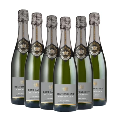 Brut Dargent Blanc de blancs Extra Brut | 6 x 0,75 L | 11% Vol. | Schaumwein Aus Frankreich | Trocken & Raffiniert | Perfekt für große Feste von Brut Dargent