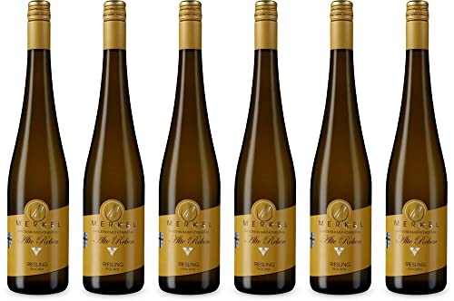 6x Riesling Alte Reben 'Gundersheimer Königstuhl' 2019 - Burgunderhof Merkel GbR, Rheinhessen - Weißwein von Burgunderhof Merkel GbR