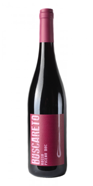 Rosso Piceno DOC 2021 von Buscareto