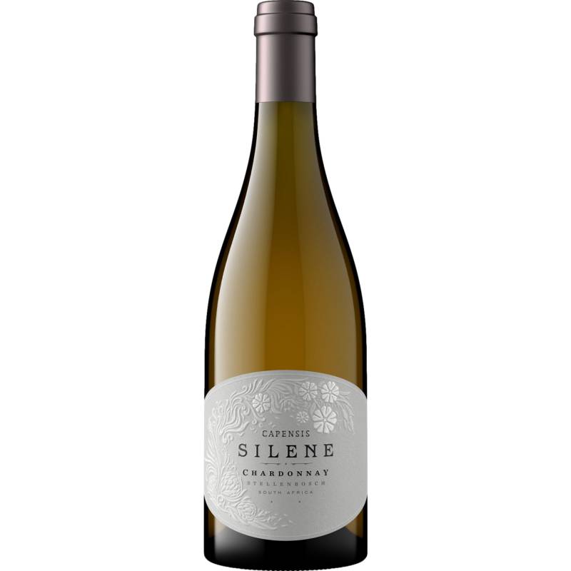 Capensis Silene Chardonnay, WO Stellenbosch, Western Cape, 2020, Weißwein von CAPREO GmbH- Gildeweg 10- 46562 Voerde- Deutschland / Capensis Wines, Südafrika